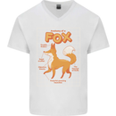 Anatomy of a Fox Funny Foxes Mens V-Neck Cotton T-Shirt White