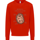 Anatomy of a Hedgehog Funny Kids Sweatshirt Jumper Bright Red