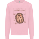 Anatomy of a Hedgehog Funny Kids Sweatshirt Jumper Light Pink