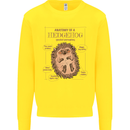 Anatomy of a Hedgehog Funny Kids Sweatshirt Jumper Yellow