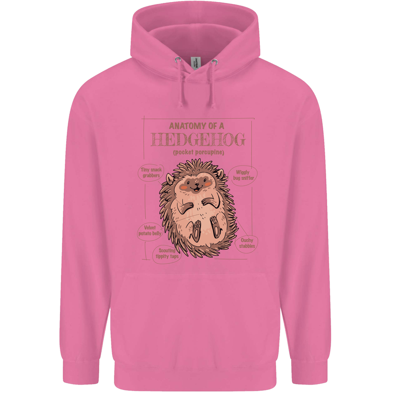 Anatomy of a Hedgehog Funny Mens 80% Cotton Hoodie Azelea