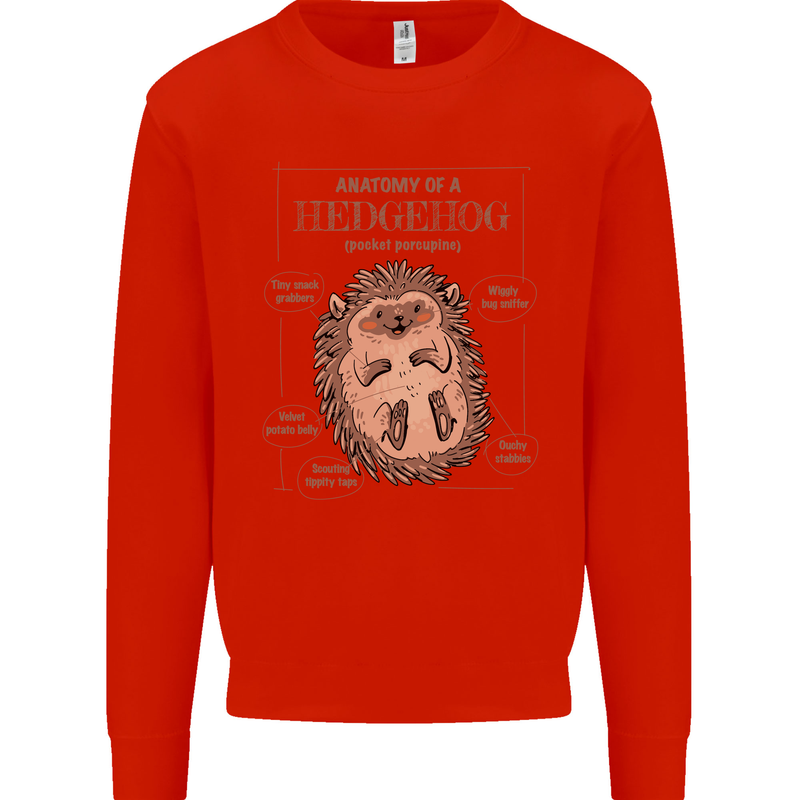 Anatomy of a Hedgehog Funny Mens Sweatshirt Jumper Bright Red