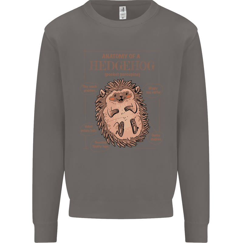 Anatomy of a Hedgehog Funny Mens Sweatshirt Jumper Charcoal