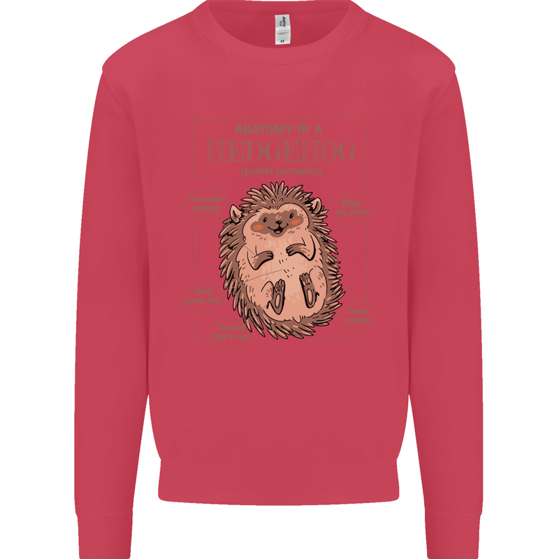 Anatomy of a Hedgehog Funny Mens Sweatshirt Jumper Heliconia