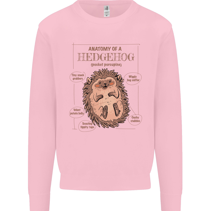 Anatomy of a Hedgehog Funny Mens Sweatshirt Jumper Light Pink