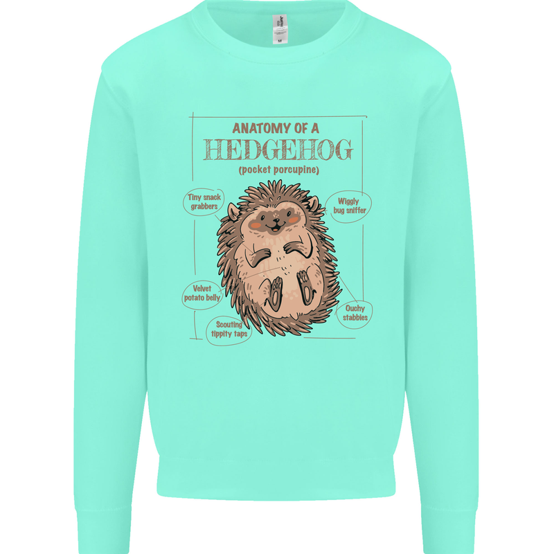 Anatomy of a Hedgehog Funny Mens Sweatshirt Jumper Peppermint
