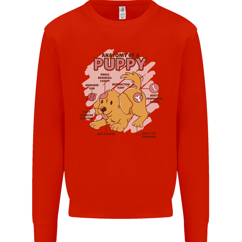Anatomy of a Puppy Dog Kids Sweatshirt Jumper Bright Red