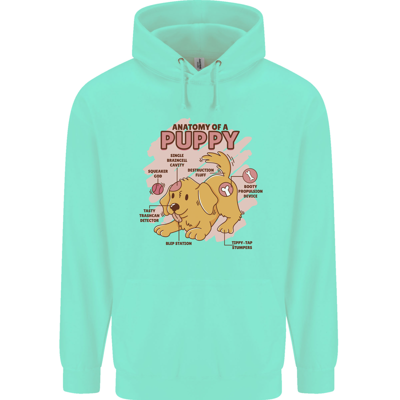 Anatomy of a Puppy Dog Mens 80% Cotton Hoodie Peppermint