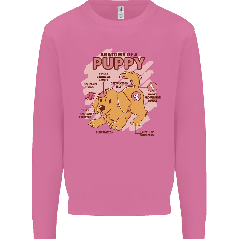Anatomy of a Puppy Dog Mens Sweatshirt Jumper Azalea