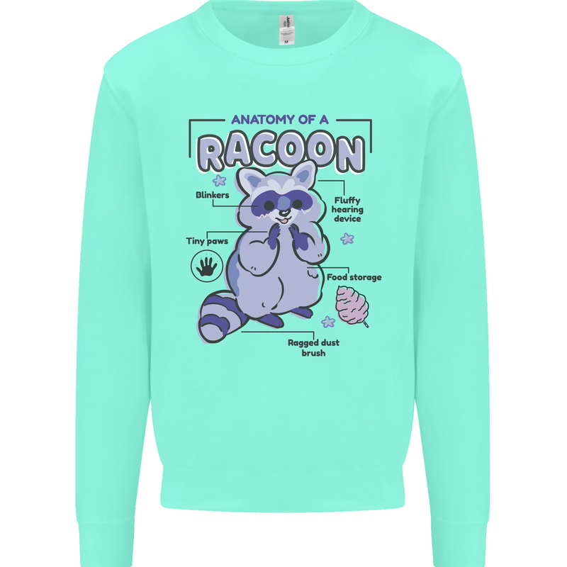 Anatomy of a Racoon Funny Kids Sweatshirt Jumper Peppermint