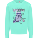 Anatomy of a Racoon Funny Mens Sweatshirt Jumper Peppermint