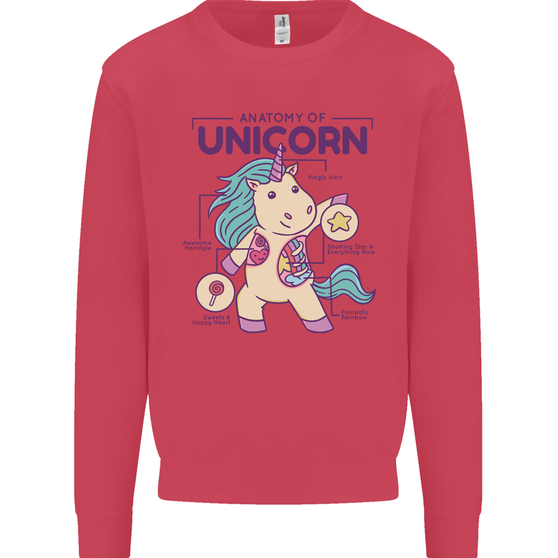 Anatomy of a Unicorn Funny Fantasy Kids Sweatshirt Jumper Heliconia