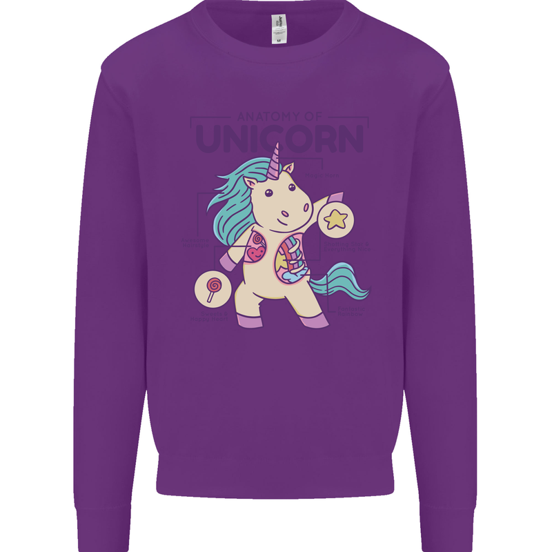 Anatomy of a Unicorn Funny Fantasy Kids Sweatshirt Jumper Purple