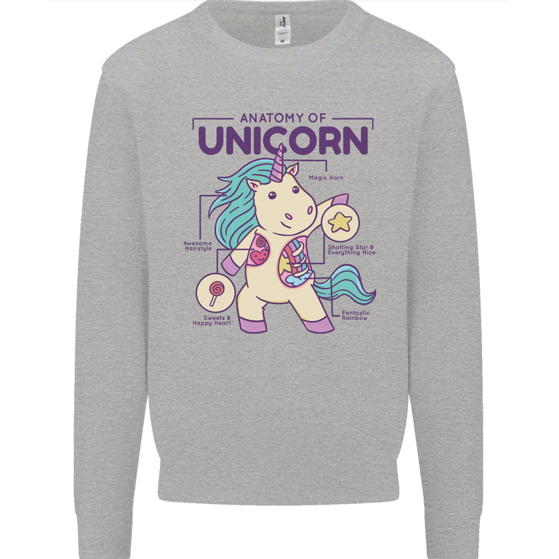 Anatomy of a Unicorn Funny Fantasy Kids Sweatshirt Jumper Sports Grey