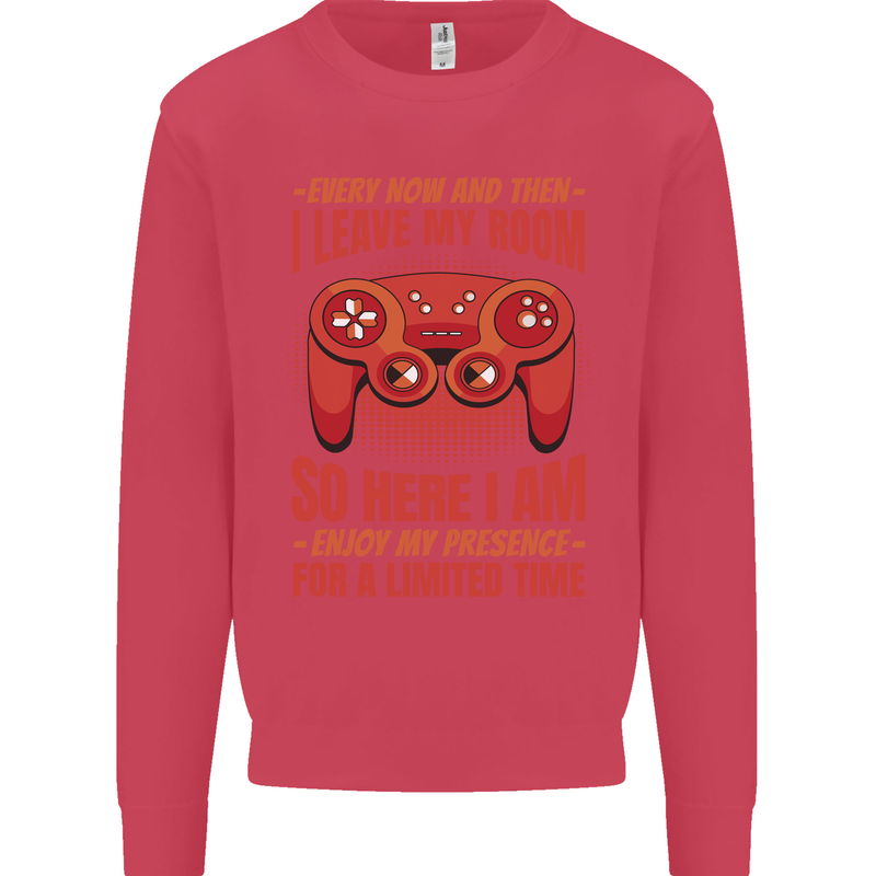 Antisocial Gamer Gaming Leave My Room Kids Sweatshirt Jumper Heliconia