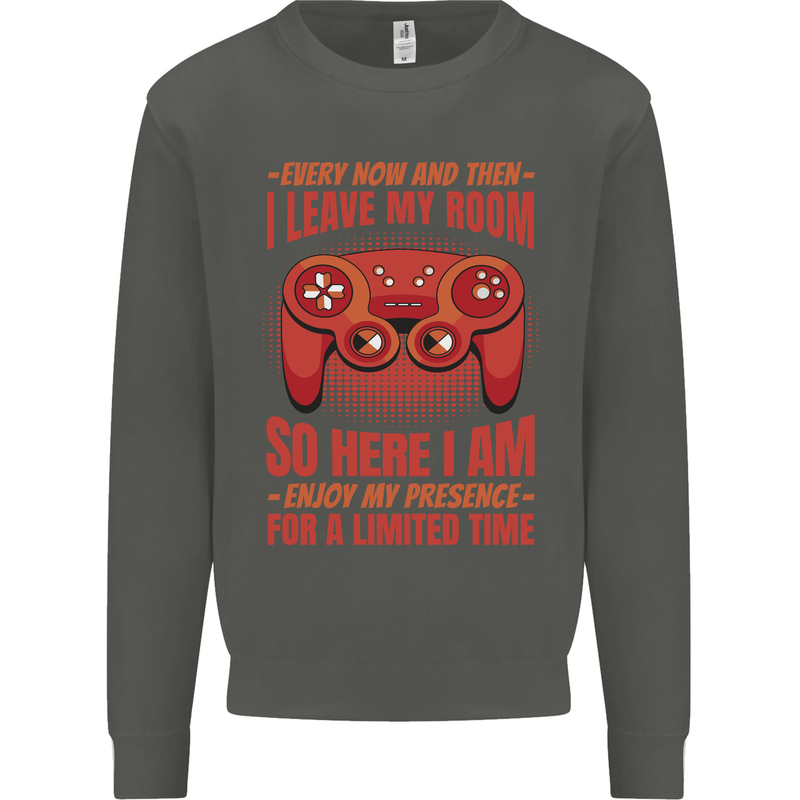 Antisocial Gamer Gaming Leave My Room Kids Sweatshirt Jumper Storm Grey