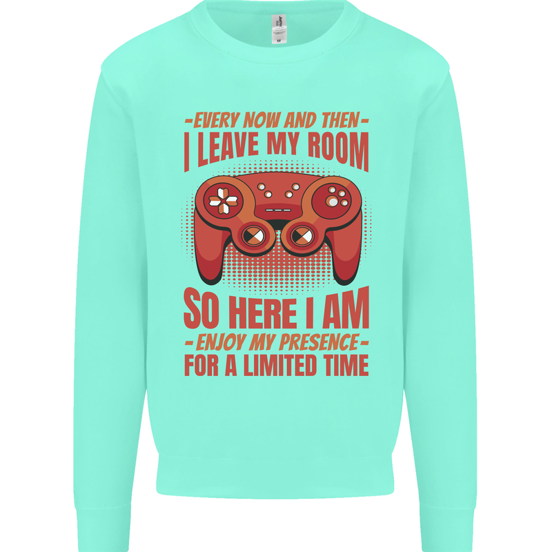 Antisocial Gamer Gaming Leave My Room Mens Sweatshirt Jumper Peppermint