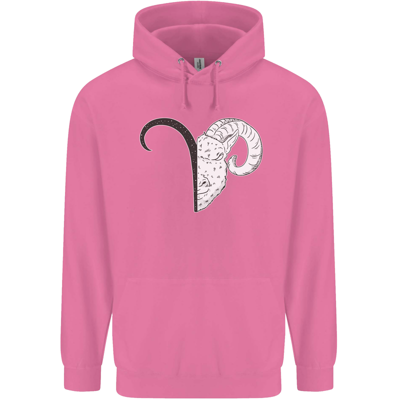 Aries Goat Head Star Sign Childrens Kids Hoodie Azalea