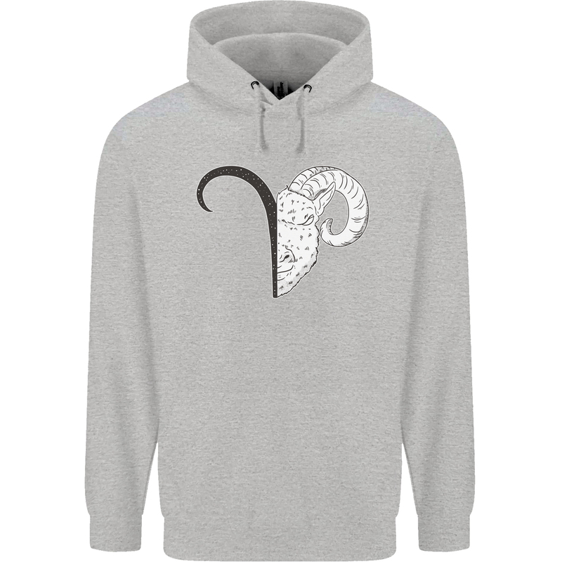 Aries Goat Head Star Sign Childrens Kids Hoodie Sports Grey