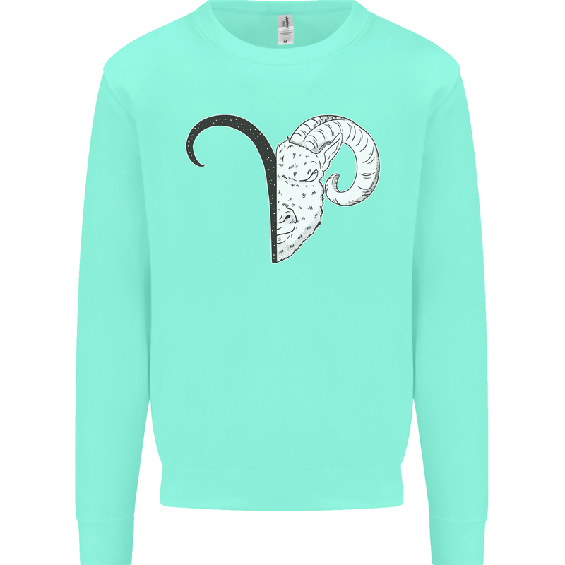 Aries Goat Head Star Sign Kids Sweatshirt Jumper Peppermint