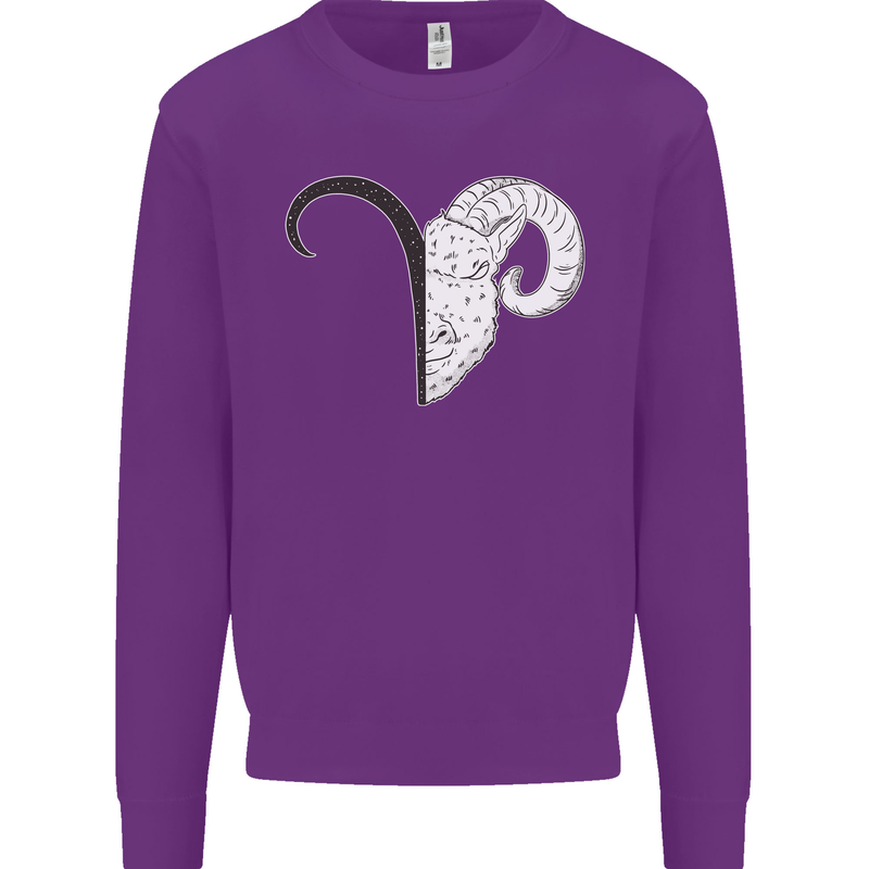 Aries Goat Head Star Sign Kids Sweatshirt Jumper Purple