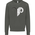 Aries Goat Head Star Sign Kids Sweatshirt Jumper Storm Grey