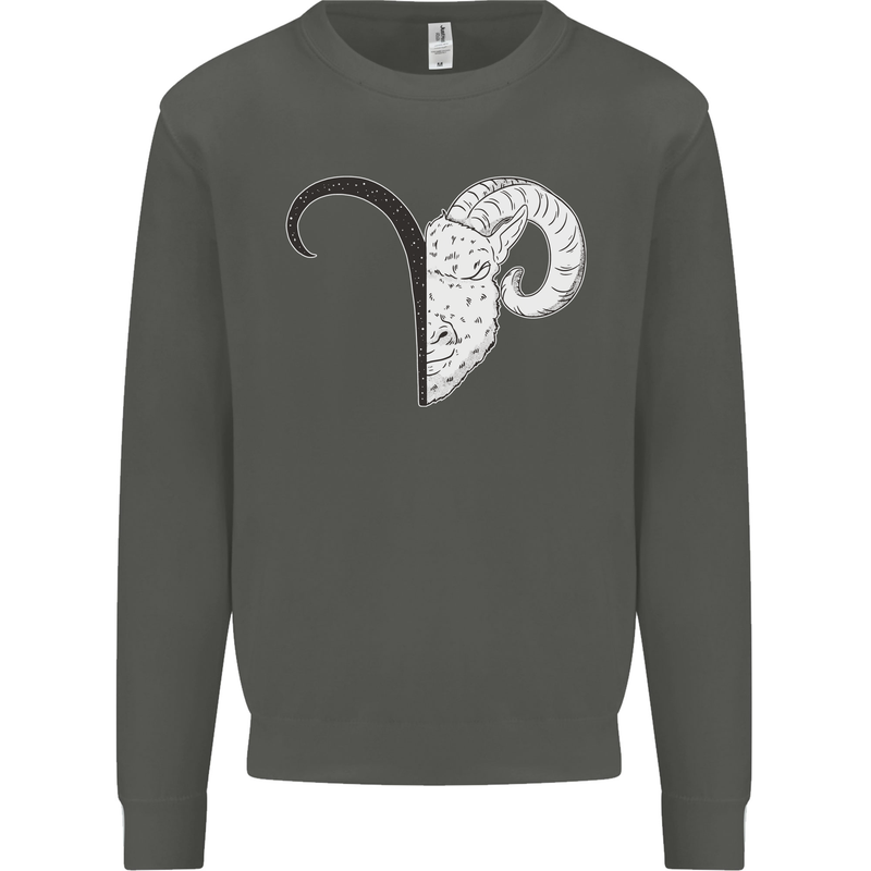 Aries Goat Head Star Sign Kids Sweatshirt Jumper Storm Grey