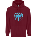 Aries Star Sign Childrens Kids Hoodie Maroon