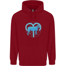 Aries Star Sign Childrens Kids Hoodie Red