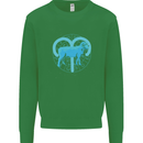 Aries Star Sign Kids Sweatshirt Jumper Irish Green