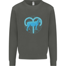 Aries Star Sign Kids Sweatshirt Jumper Storm Grey