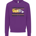 Arts and Crafts Funny Crafty Art Artist Kids Sweatshirt Jumper Purple