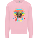 Autism Be Kind Elephant Autistic Kids Sweatshirt Jumper Light Pink