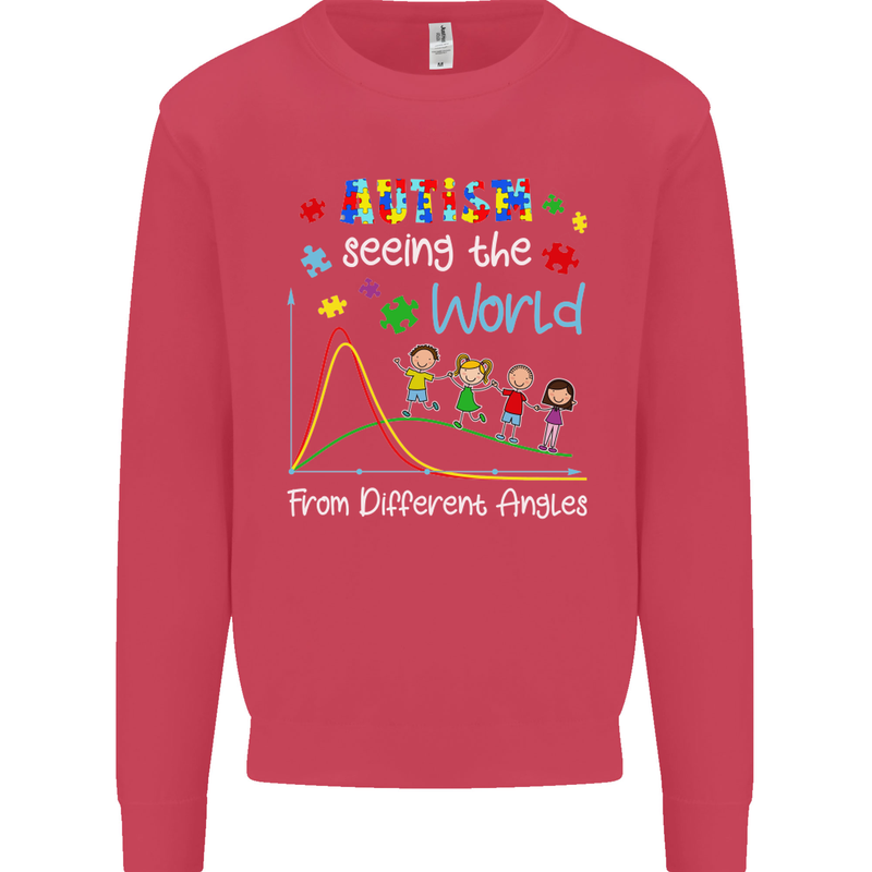 Autism World From Different Angles Autistic Kids Sweatshirt Jumper Heliconia
