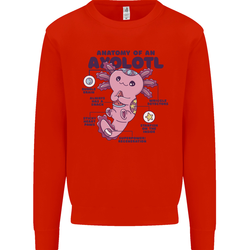 Axoloti Anatomy Kids Sweatshirt Jumper Bright Red