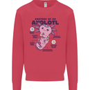 Axoloti Anatomy Kids Sweatshirt Jumper Heliconia