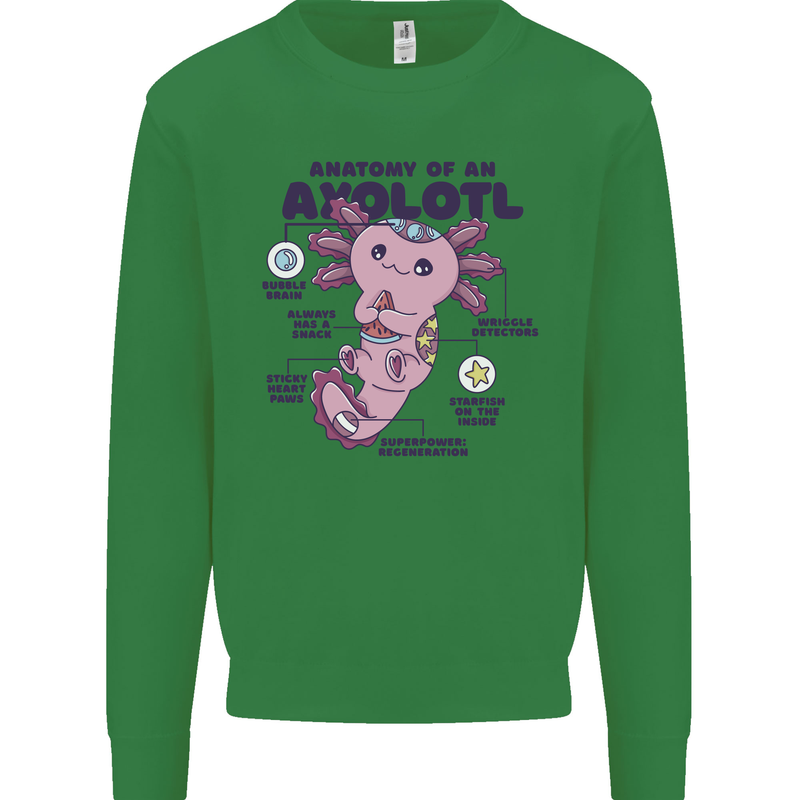 Axoloti Anatomy Kids Sweatshirt Jumper Irish Green