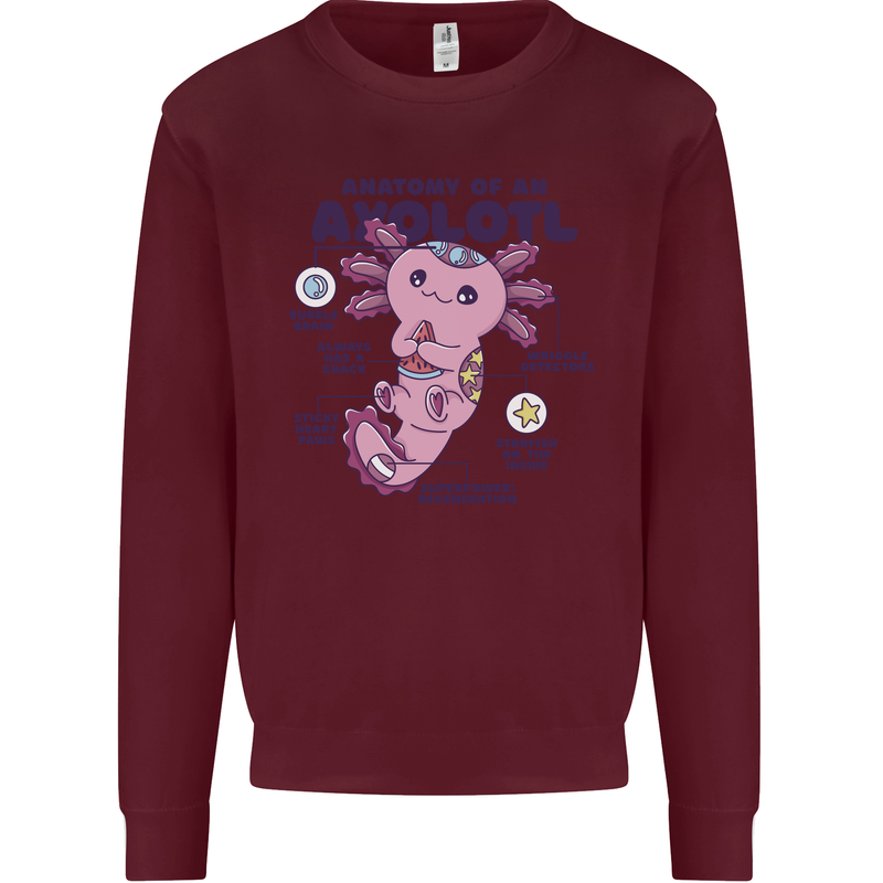 Axoloti Anatomy Kids Sweatshirt Jumper Maroon