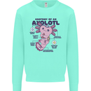 Axoloti Anatomy Kids Sweatshirt Jumper Peppermint