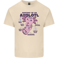 Axoloti Anatomy Mens Cotton T-Shirt Tee Top Natural