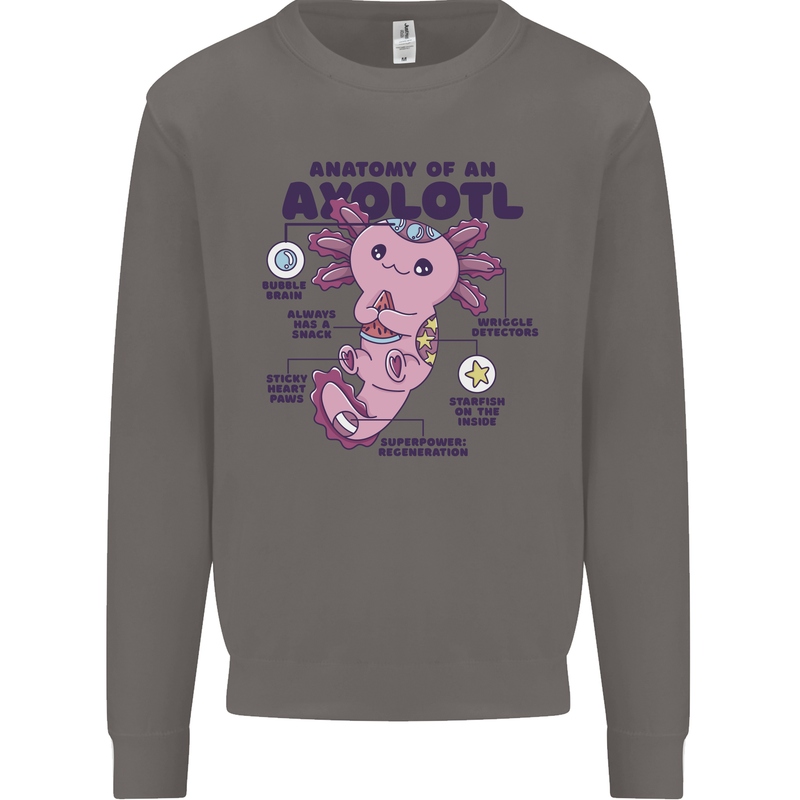 Axoloti Anatomy Mens Sweatshirt Jumper Charcoal