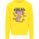 Axoloti Anatomy Mens Sweatshirt Jumper Yellow