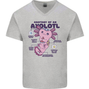 Axoloti Anatomy Mens V-Neck Cotton T-Shirt Sports Grey