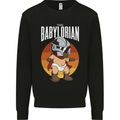 Babylorian Funny Baby Infant Toddler Parody Mens Sweatshirt Jumper Black
