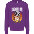 Babylorian Funny Baby Infant Toddler Parody Mens Sweatshirt Jumper Purple