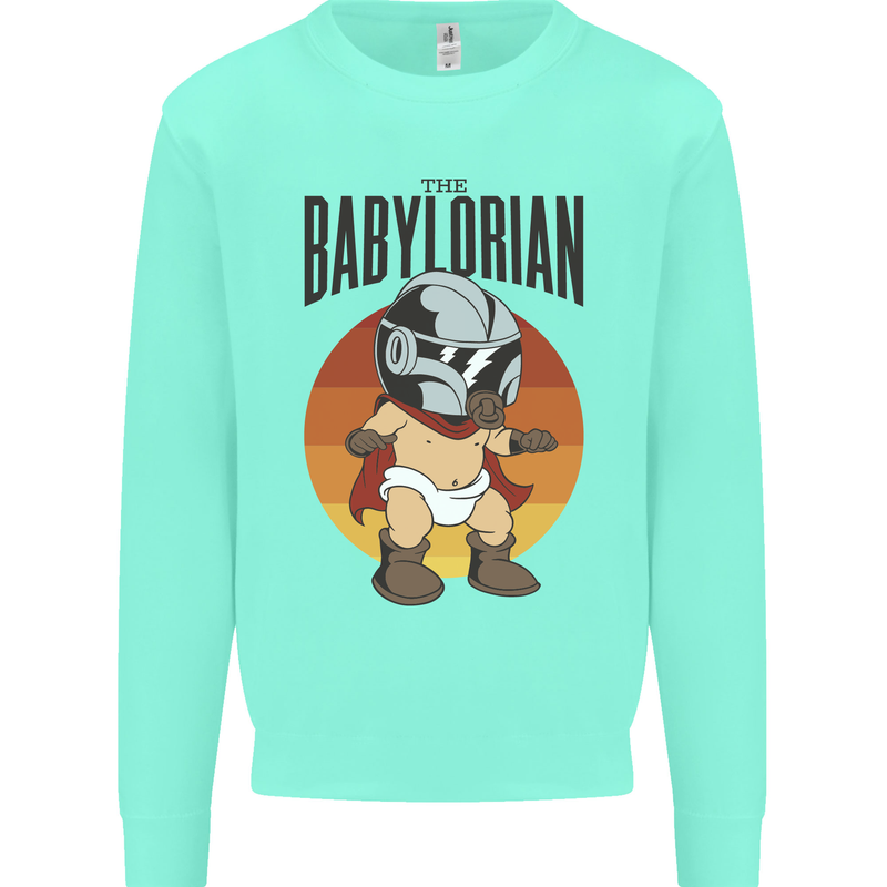 Babylorian Funny Baby Toddler Infant Parody Kids Sweatshirt Jumper Peppermint