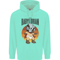 Babylorian Funny Baby Toddler Infant Parody Mens 80% Cotton Hoodie Peppermint