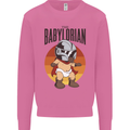 Babylorian Funny Baby Toddler Infant Parody Mens Sweatshirt Jumper Azalea