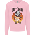 Babylorian Funny Baby Toddler Infant Parody Mens Sweatshirt Jumper Light Pink