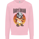 Babylorian Funny Baby Toddler Infant Parody Mens Sweatshirt Jumper Light Pink